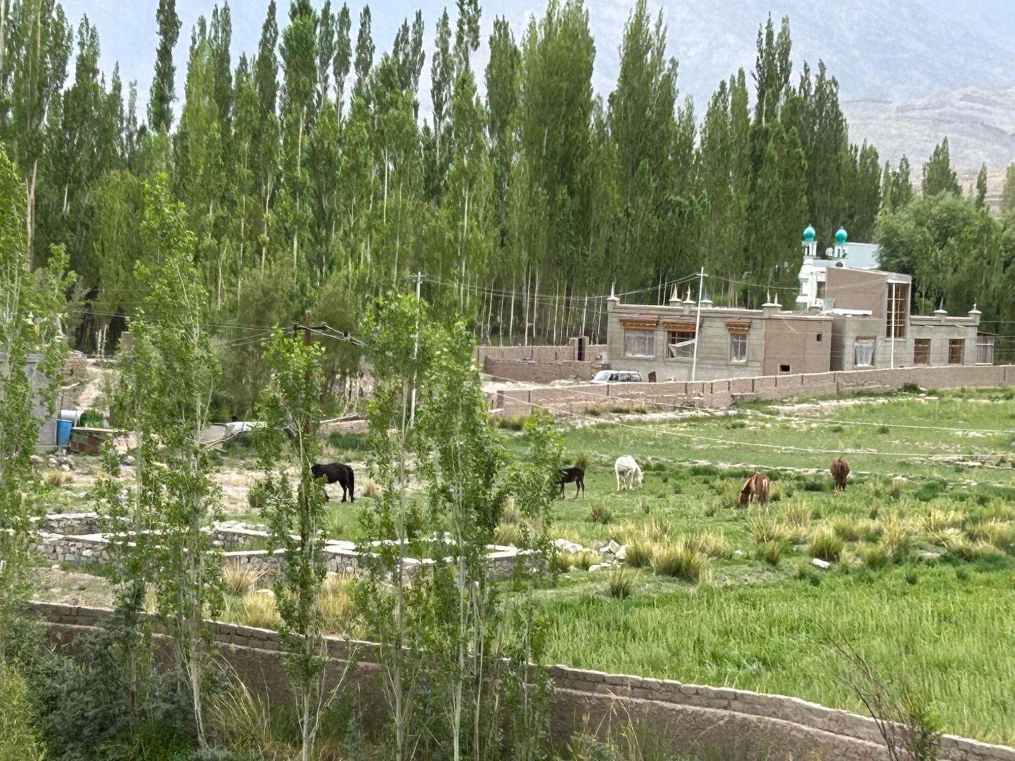 Nature Palace Farmstay She Екстер'єр фото
